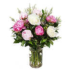 Arranjo de Pe�nias Encantadoras