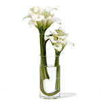 Arranjo de L�rios Brancos com Vaso Cil�ndrico