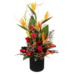 Arranjo de Flores Explosão do Deserto