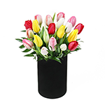 Tulipas de Manhattan