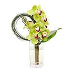 Arranjo de Flores com Orquídeas Orfeu